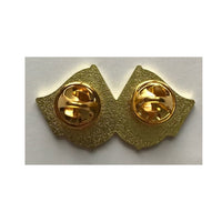 PIN'S Federal Air Marshal 9/11 - United we stand 22/03